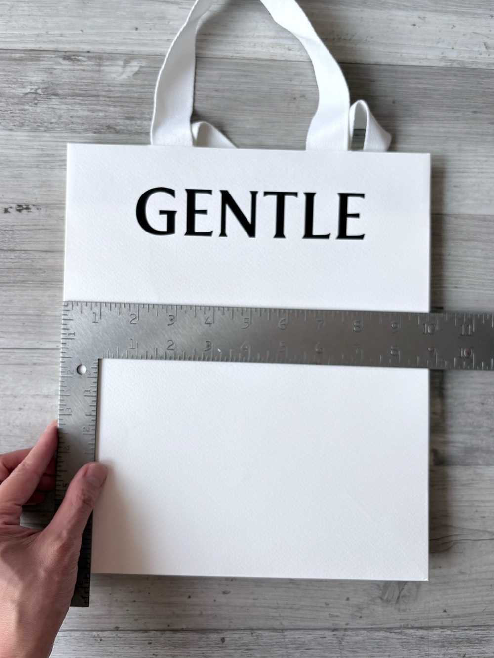 Gentle Monster White Paper Shopping Gift Bag - Picture 7 of 8